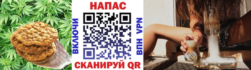 Canna-Cookies конопля  Дмитровск 