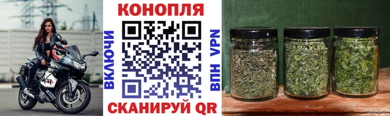 Бошки марихуана семена  darknet формула  Дмитровск 